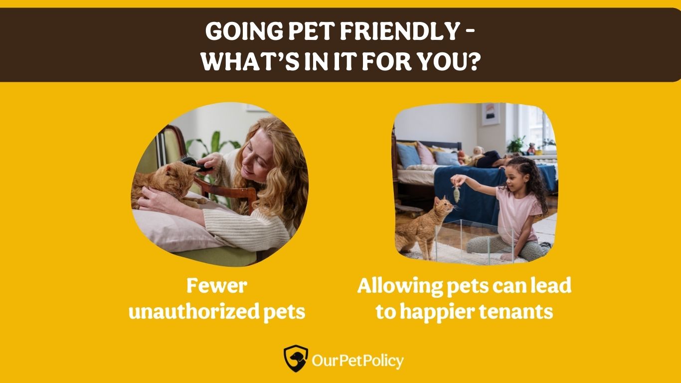 Why pet-friendly rental can benefit you