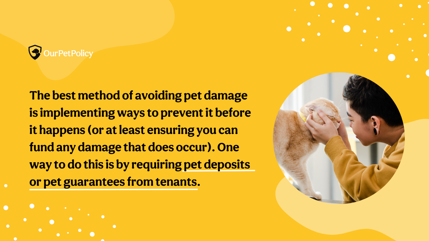 Learn how to avoid pet damage with pet guarantee with OurPetPolicy
