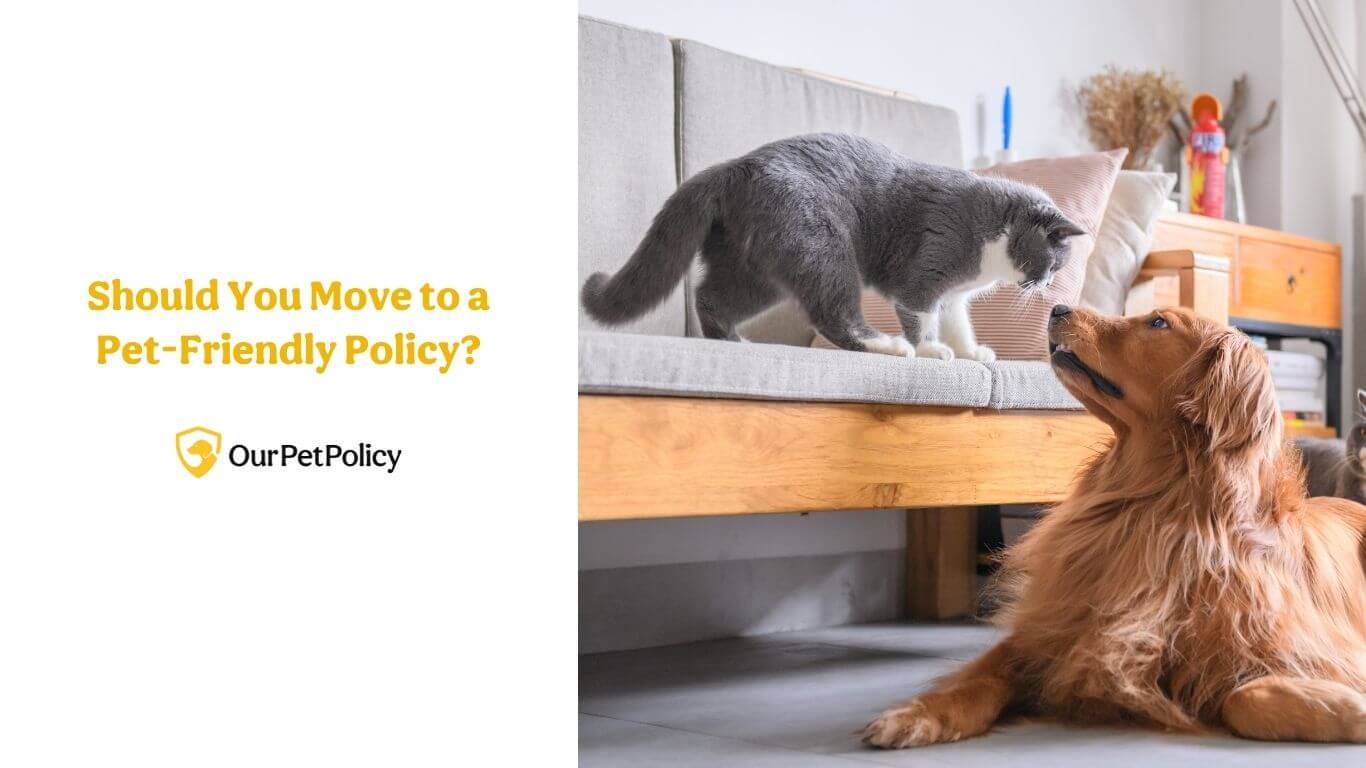 Thinking of moving to a pet-friendly policy