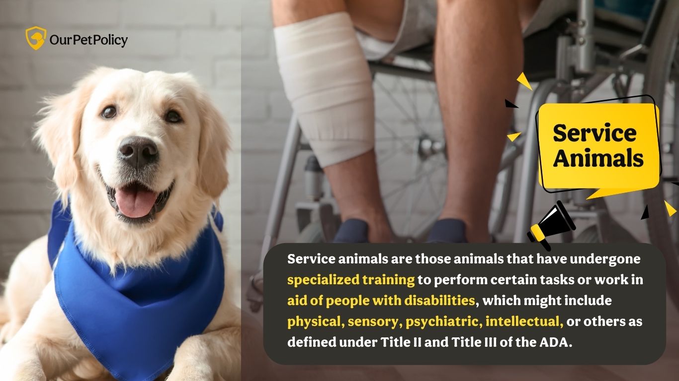 Duties and roles of service animals