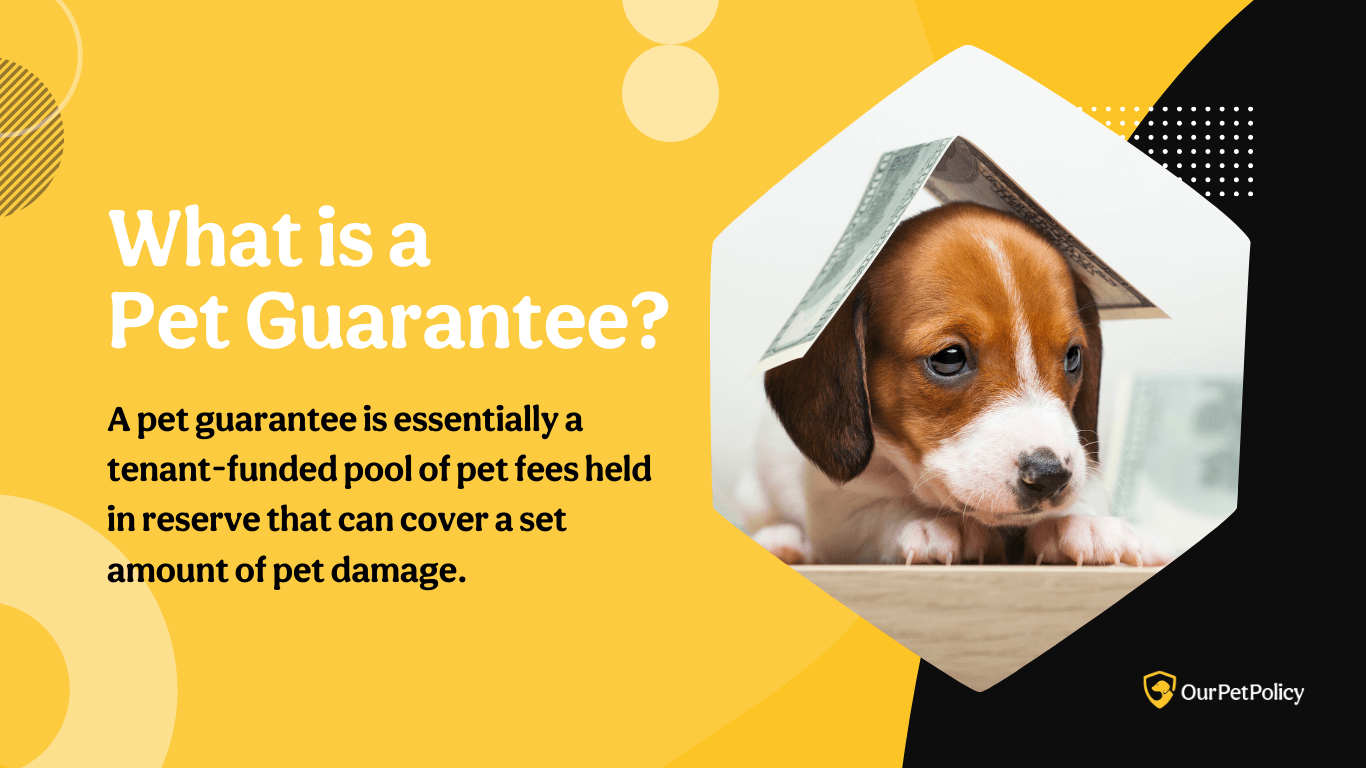 Pet Guarantee is a tenant-funded pool of fees