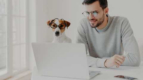 The Benefits of Going Digital: How a Pet Management Software Can Streamline Your Processes